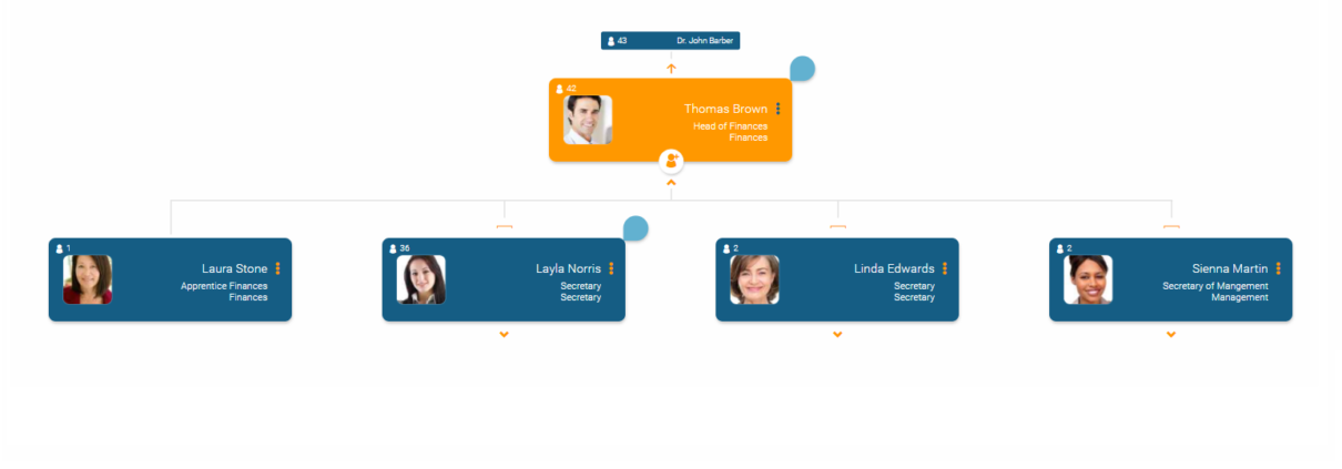 Determine visualization rules for the org chart in orginio