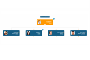 Determine visualization rules for the org chart in orginio