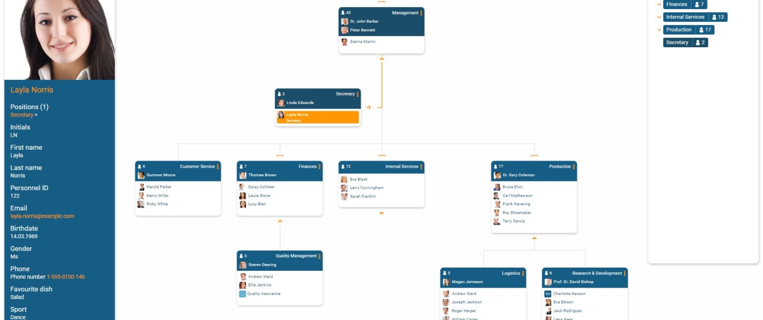Overview of an org chart in orginio